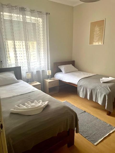 カロチャ Alice Vendeghaz Bed & Breakfast エクステリア 写真